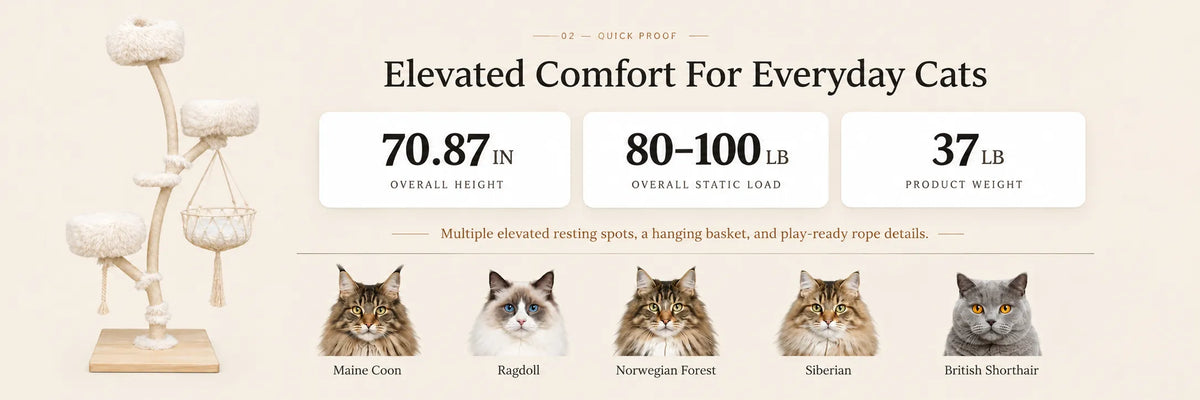 Mewswing 71" Tall Large Cat Tree, Modern Solid Wood Tower with Hammock product detail image 1