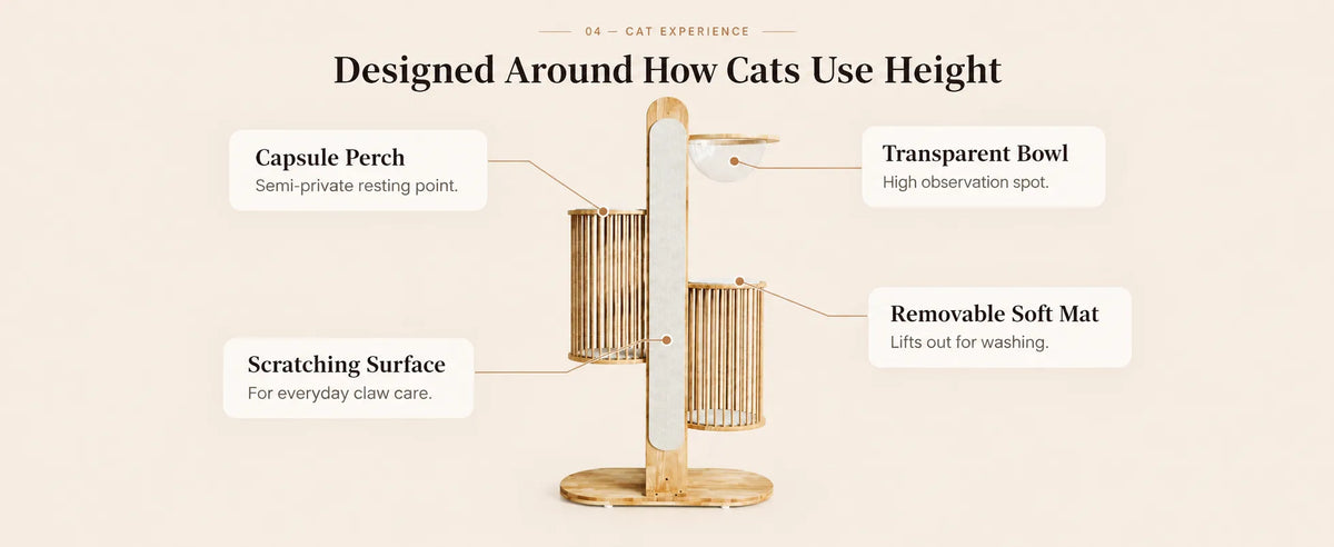 Okra 67" Modern Cat Tower for Large Adult Cats, Solid Wood product detail image 3